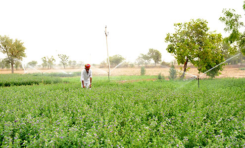 Equipment support for agriculture